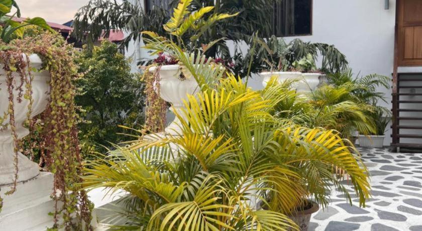 Отель Club Denovo Butwal Экстерьер фото
